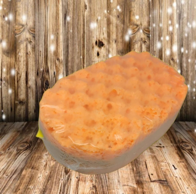 Soap Sponge